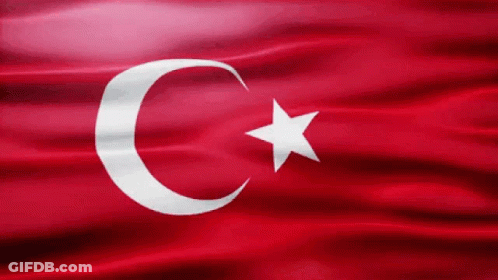Red Flag With Crescent Moon And Star GIF