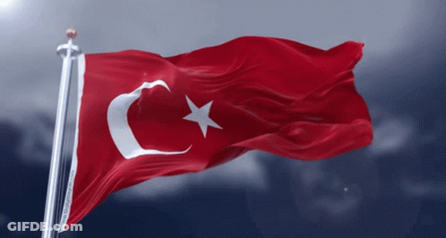 Red Flag With Crescent Moon And Star GIF