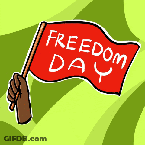 Red Flag With Freedom Day GIF