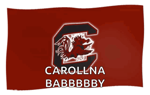 Red Flag With Rooster Saying Carolina Babbbby GIF