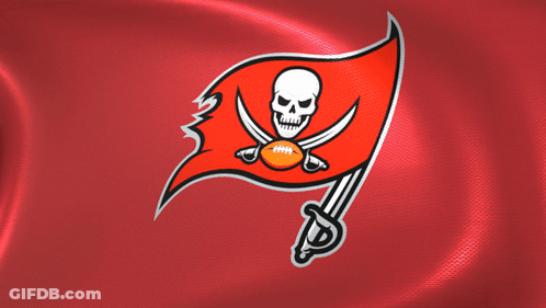 Red Flag With Skull And Crossbones GIF