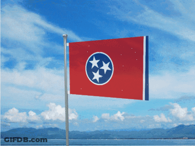 Red Flag With Three White Stars Flying GIF