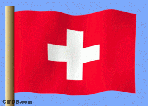 Red Flag With White Cross Flying GIF