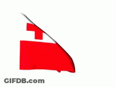 Red Flag With White Cross Waving GIF