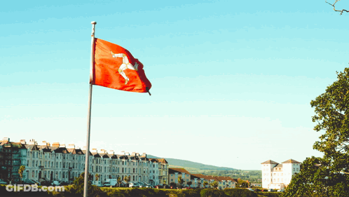 Red Flag With White Horse Waving In Wind GIF