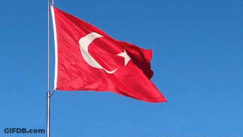 Red Flag With White Star And Crescent Moon GIF
