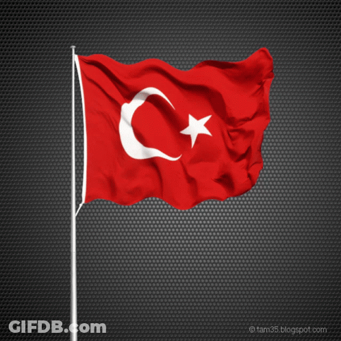Red Flag With White Star And Crescent Moon GIF