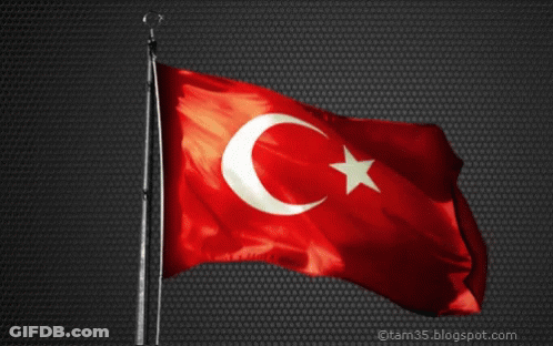 Red Flag With White Star And Crescent Moon GIF