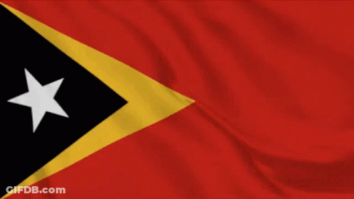 Red Flag With Yellow Triangle And Black Star GIF