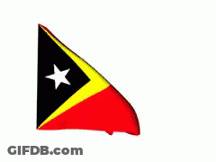 Red Flag With Yellow Triangle And White Star GIF
