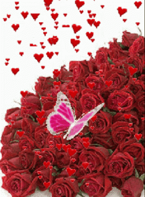 Red Flores Flower For Her GIF