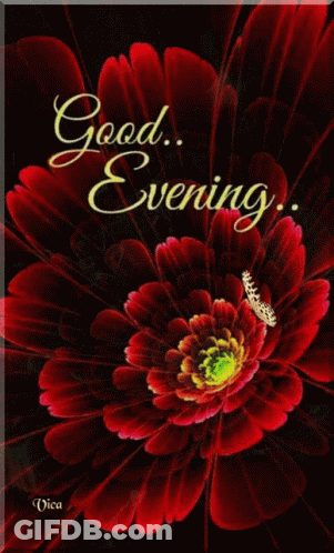 Red Flower Butterfly Saying Good Evening GIF