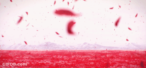 Red Flower Field With Mountains In Distance GIF