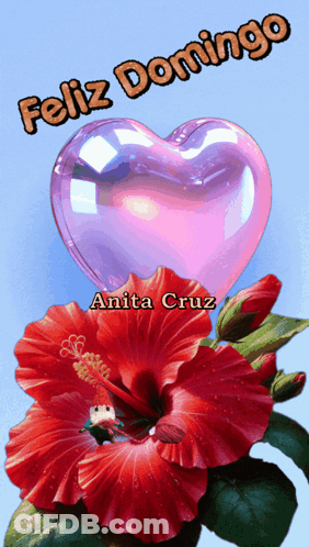 Red Flower Heart Feliz Domingo Anita Cruz GIF