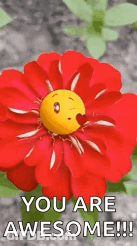 Red Flower Smiley Flaming Text You Are Awesome GIF