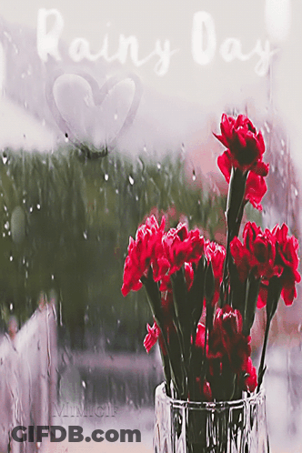 Red Flower Vase In Rainy Day Window GIF