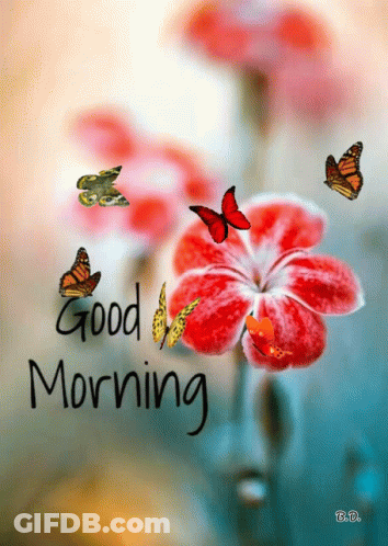 Red Flower With Butterflies Saying Good Morning GIF