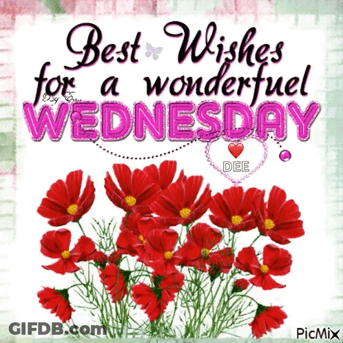 Red Flowers Best Wishes For A Wonderful Wednesday GIF