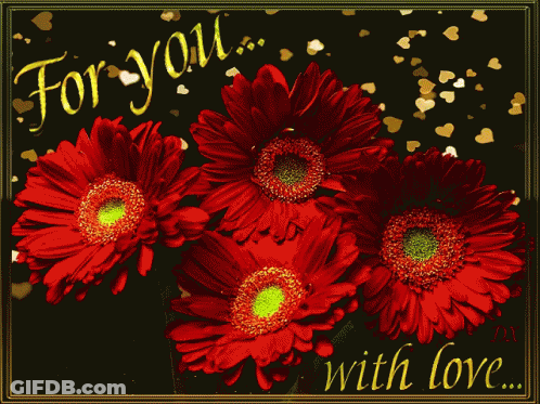 Red Flowers For You With Love GIF