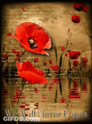 Red Flowers We Will Never Forget GIF