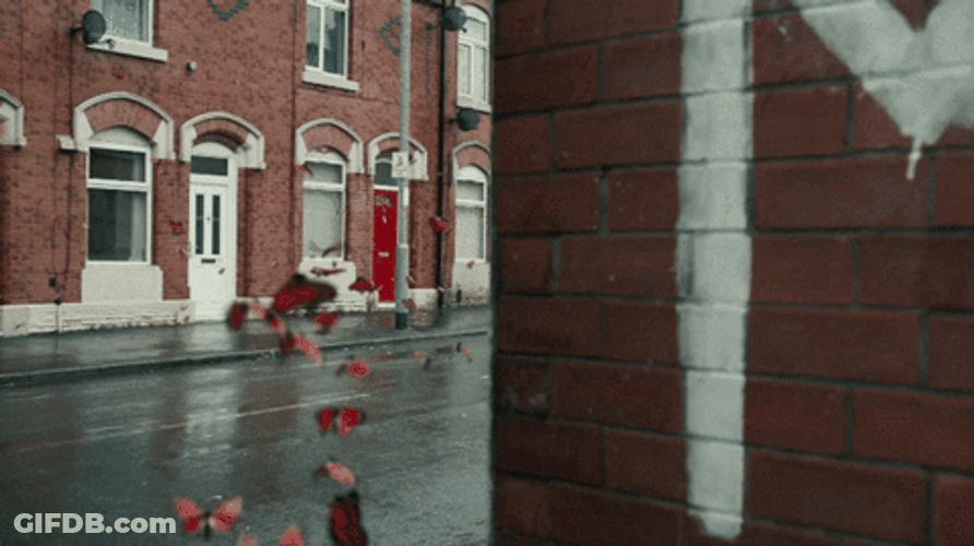 Red Flying Butterfly Buildings GIF