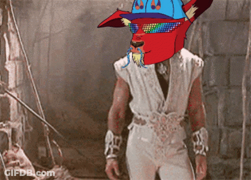 Red Fox Wearing Blue Hat GIF