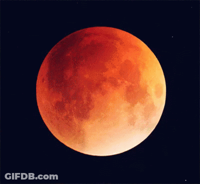 Red Full Moon Against Black Sky GIF