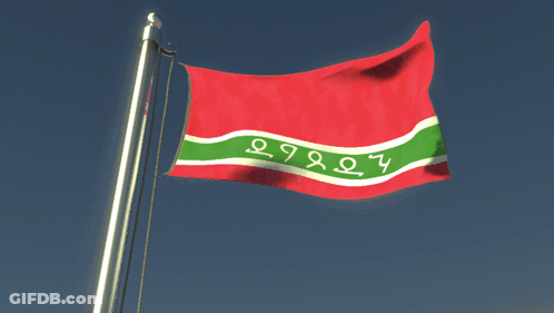 Red Green And White Flag With Numbers 2997 GIF
