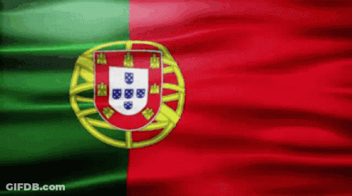 Red Green And Yellow Flag With White Shield GIF