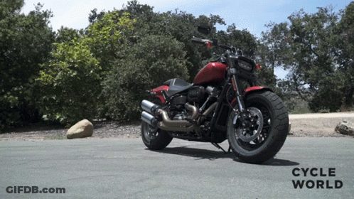 Red Harley Davidson Motorcycle On Roadside GIF