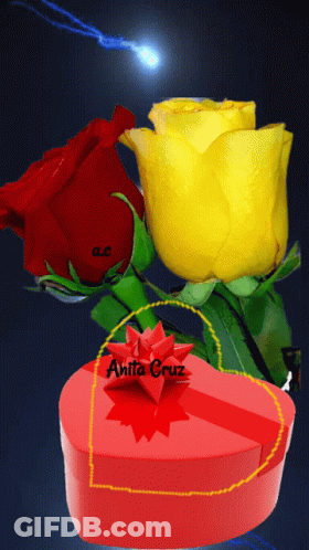 Red Heart Box With Anita Cruz GIF