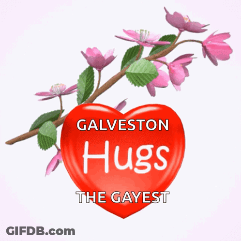 Red Heart Galveston Hugs The Gayest GIF