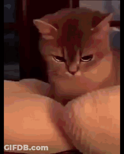 Red Heart God Bless I Love You More Baby Boy GIF