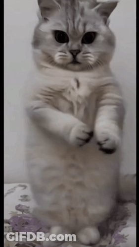 Red Heart Saying Cuz I Love You GIF
