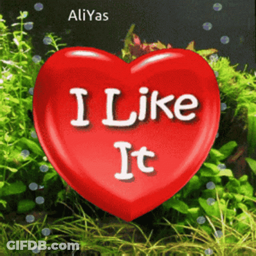Red Heart Saying I Like It GIF