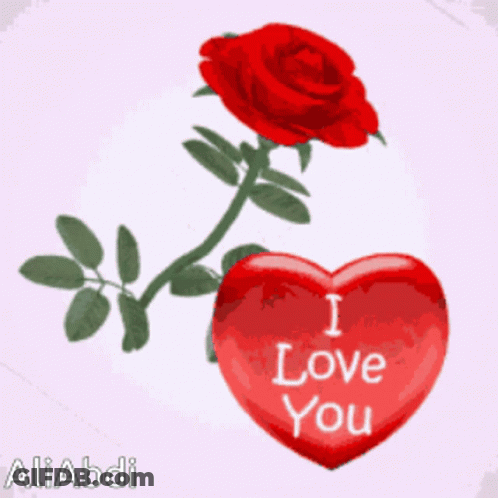 Red Heart Saying I Love You Next To Red Rose GIF
