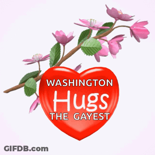 Red Heart Saying Washington Hugs The Gayest GIF