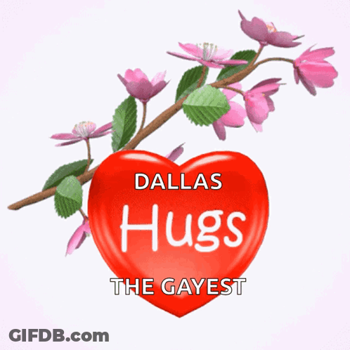 Red Heart Says Dallas Hugs The Gayest GIF