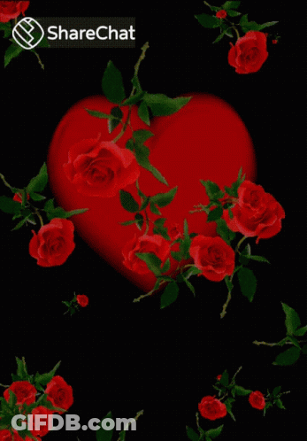 Red Heart Surrounded By Red Roses GIF