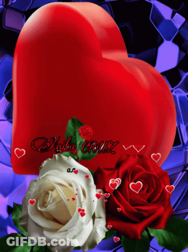 Red Heart Surrounded By Roses Santa Cruz GIF