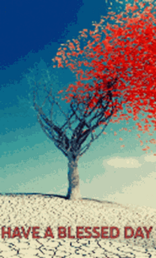 Red Heart Tree Have A Blessed Day GIF