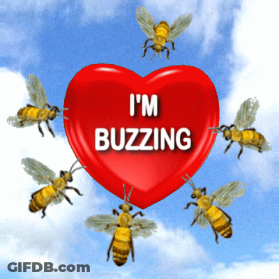 Red Heart With I'm Buzzing Surrounded By Bees GIF