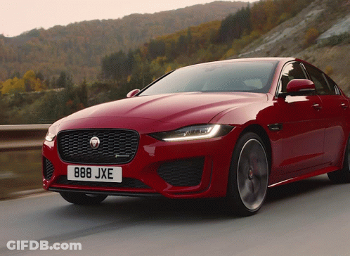 Red Jaguar Car With License Plate 888Jxe GIF