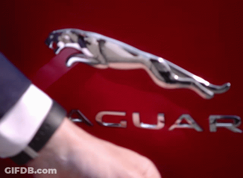 Red Jaguar Car With Silver Jaguar Logo GIF