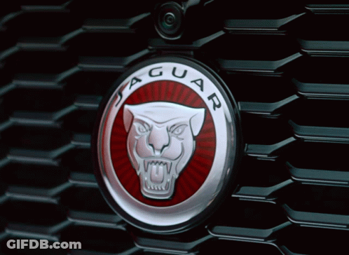 Red Jaguar License Plate 888 JXE GIF
