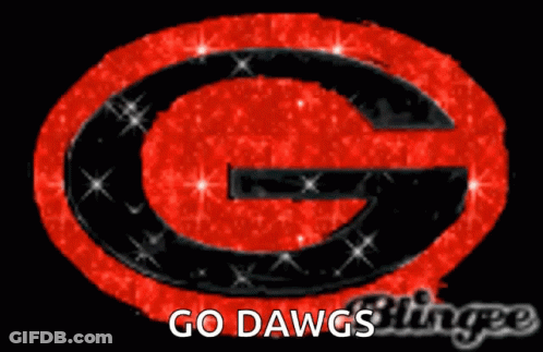 Red Jersey Bulldog On Leash Football Field GIF