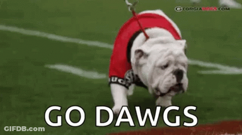 Red Jersey Bulldog On Leash Football Field GIF