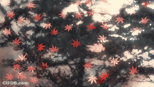 Red Leaves Are Falling From A Tree With A Circle Around Them GIF
