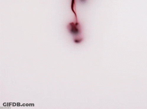 Red Liquid Close Up GIF