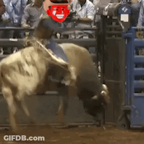 Red Masked Man Riding Bull GIF